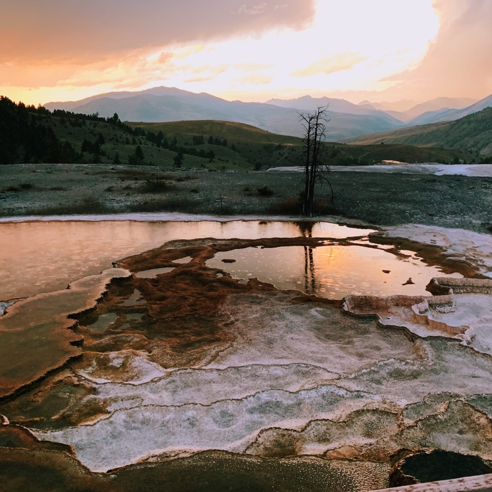 Meet your Posher, Whitney